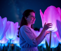 �����-����