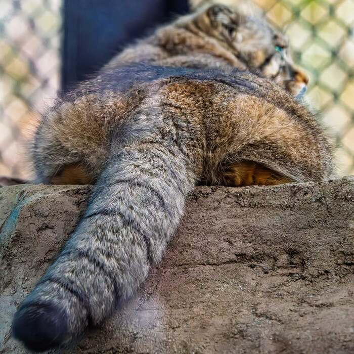   ,  ,  ,  , , , , 