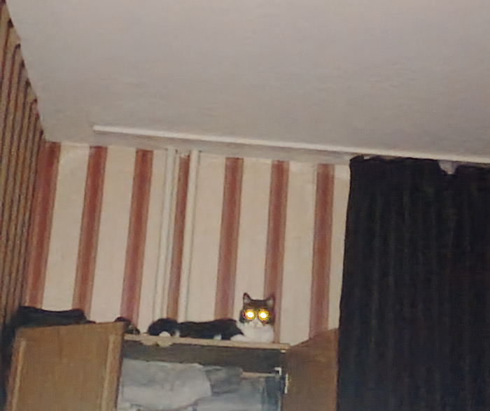    ""! , ,  , ,  ,  , 