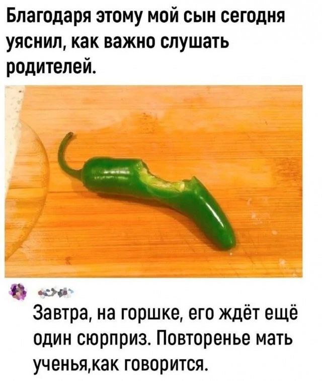  , , Telegram (),  , ,   , , 
