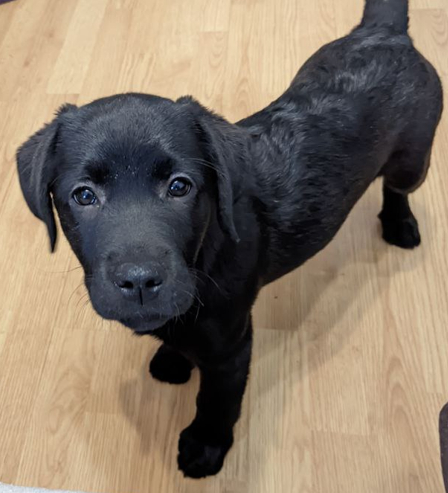 ������ ���� ����