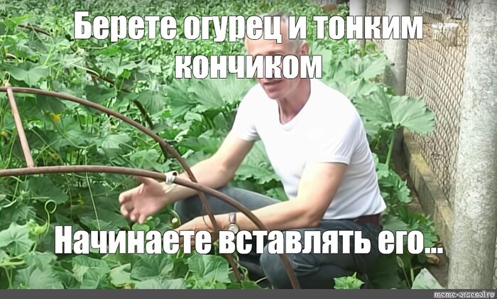  .        ? , , , , , ,  