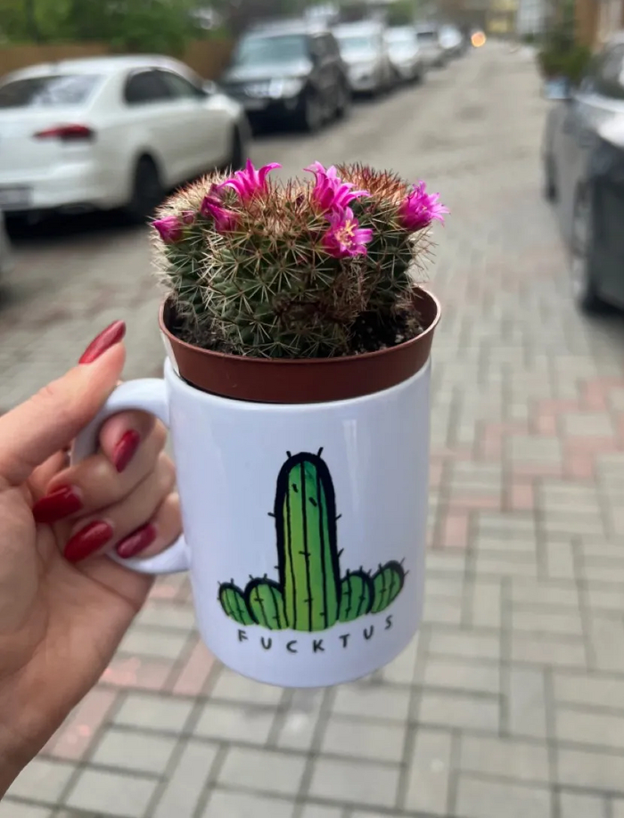 Реклама: ООО "Яндекс Маркет" ИНН: 9704254424