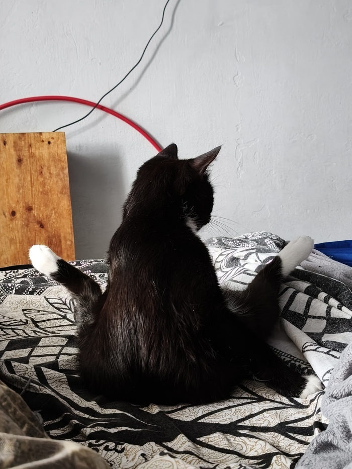 � ���-�� � ���� ���������� �����������