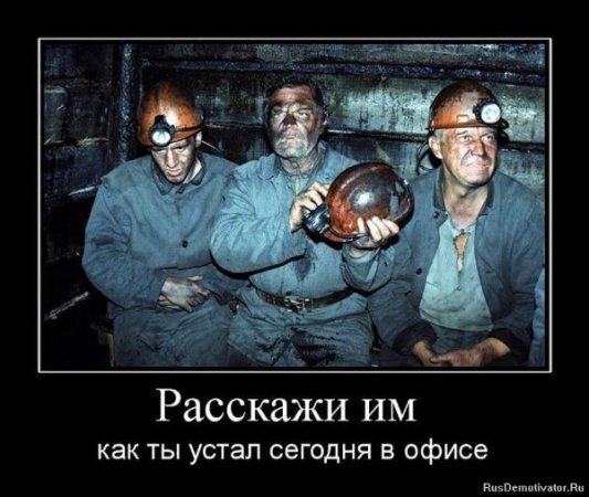      ,     () , , IT, X (Twitter), , , ,   ,  , 