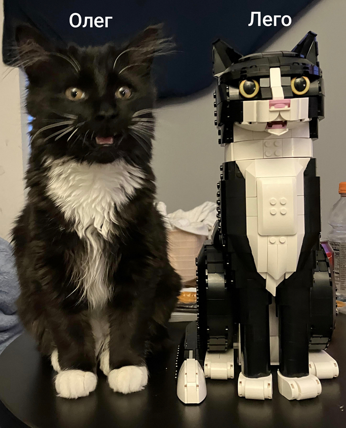   ,    ,  ,  , , , LEGO, , , , ,   