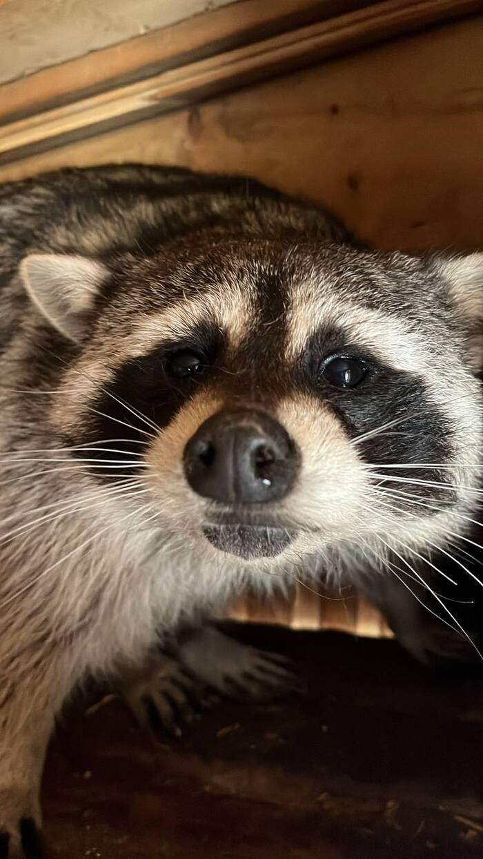 , !  , , , , 
