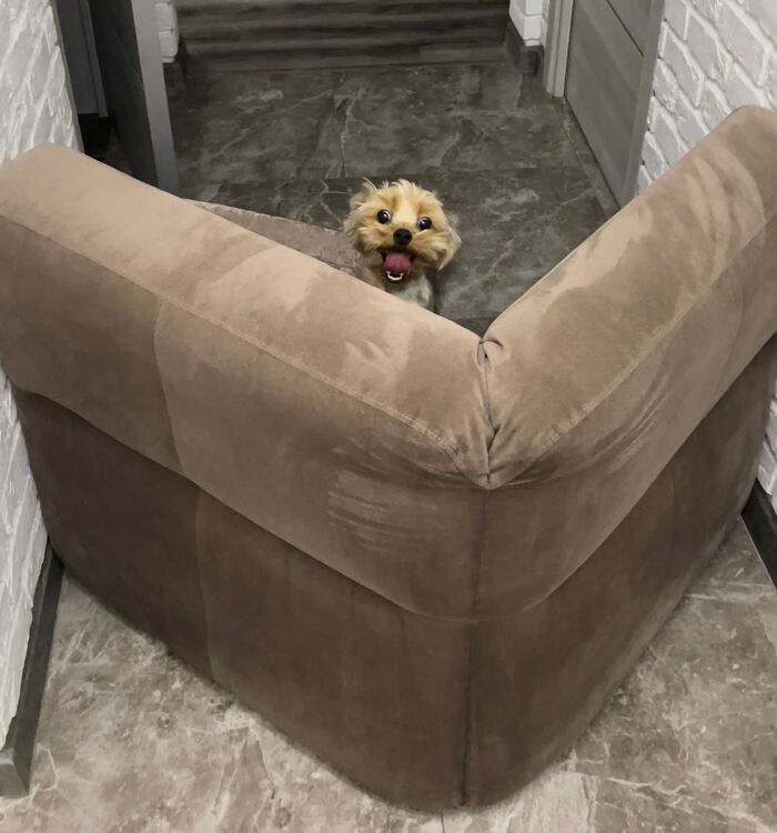   , ,  , ,  , 