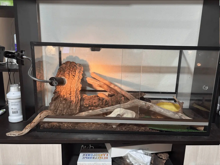 Кек уже пошёл гулять