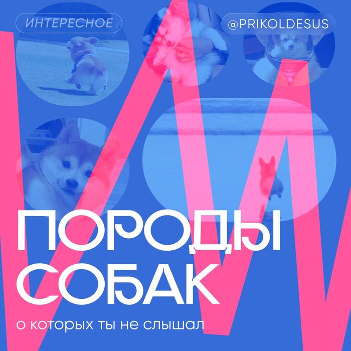    ))0)  ,  , , 