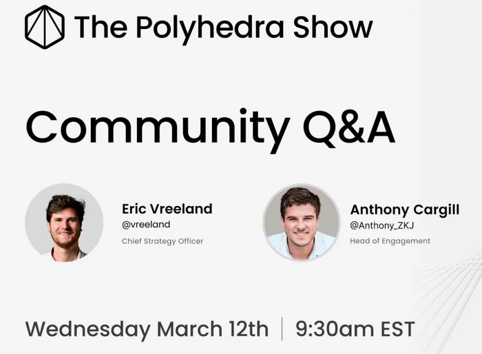 Polyhedra Show - Community Q&A 12.03.25 - Моё, Криптовалюта, Шоу, Искусственный интеллект, Длиннопост