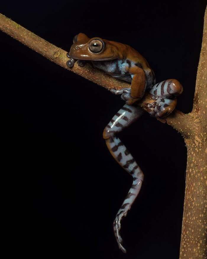    , , ,  ,  ,  ,  , 