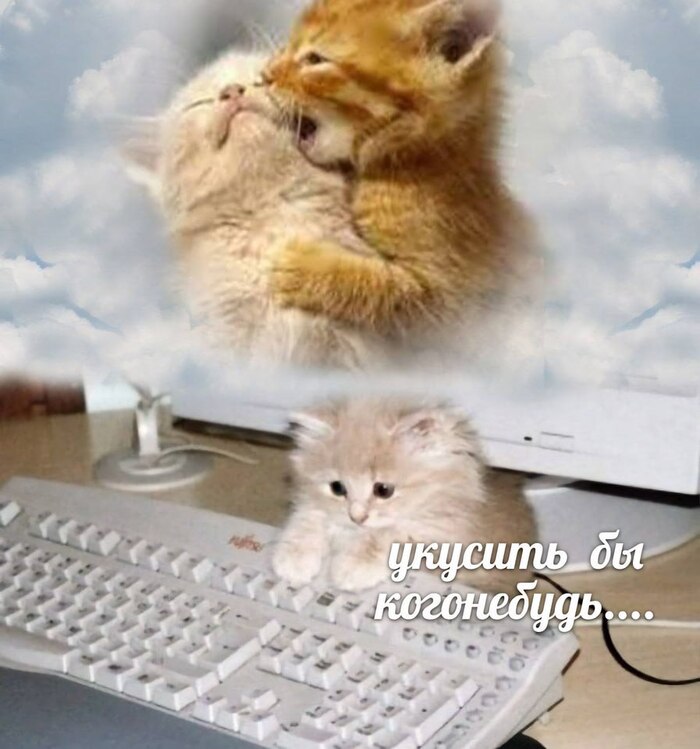 ������� ���� | ������������ ����