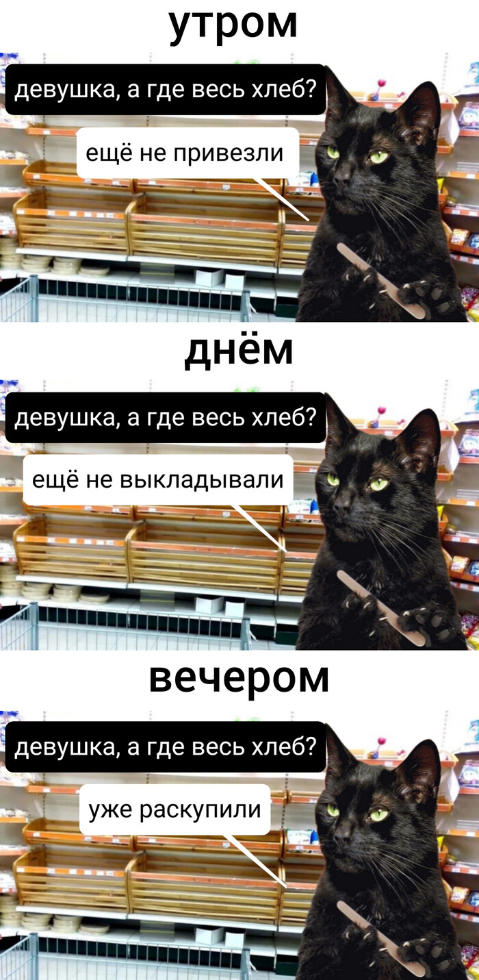     , ,   