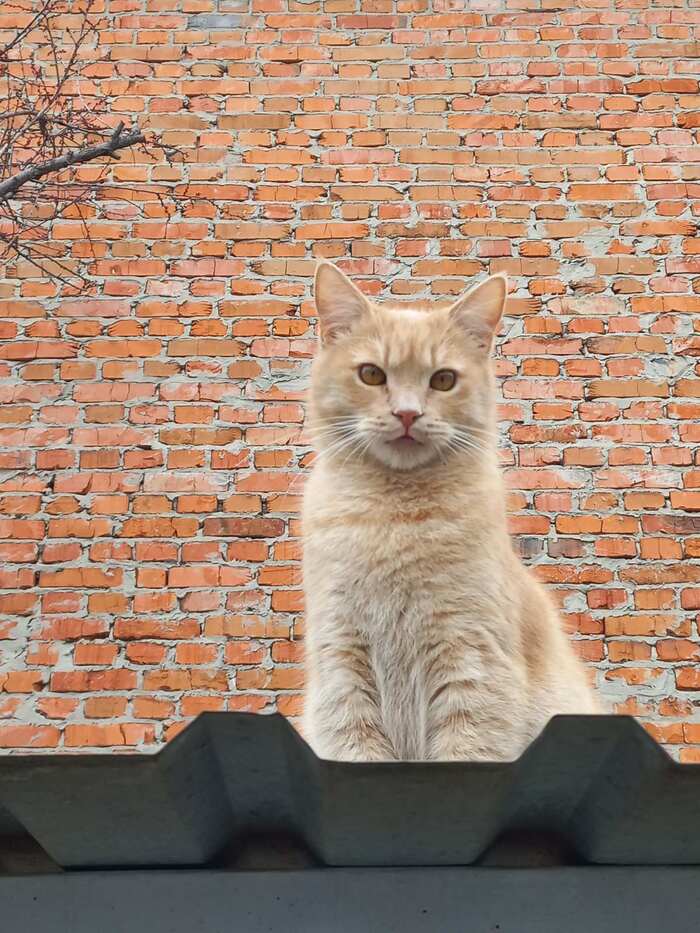 ������� ��� 11 �������!