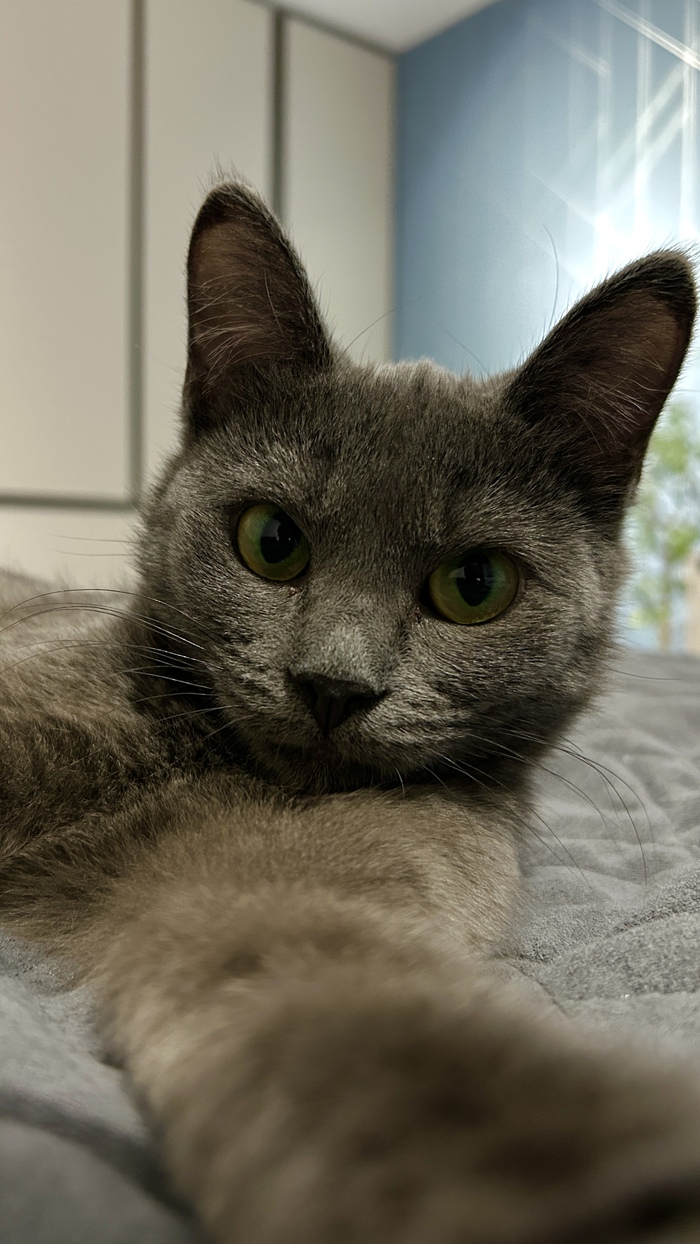 ��� ���� � ����� �� ��