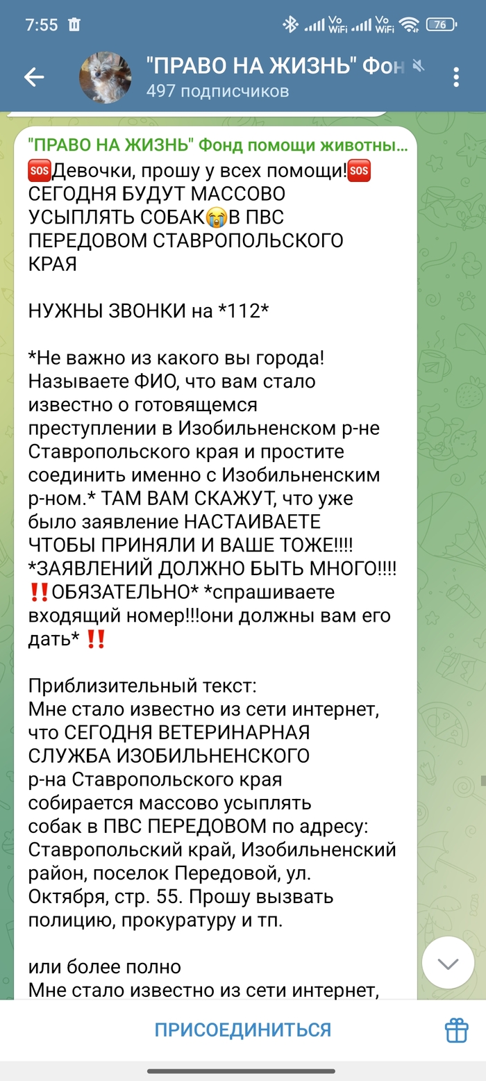         ,  ,  112,  , Telegram (), , 