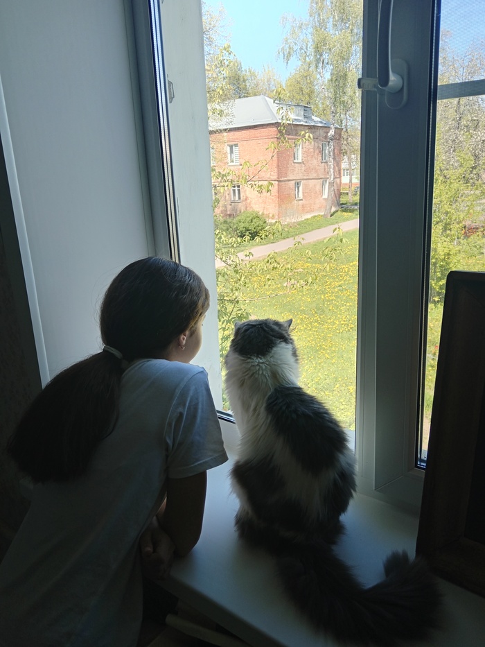 ��������� ����!����� �������!!!