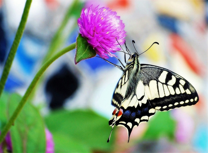 ,        ,     10-20%     .