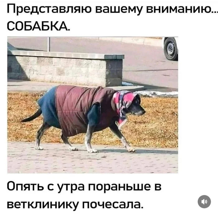     , , ,   , ,   