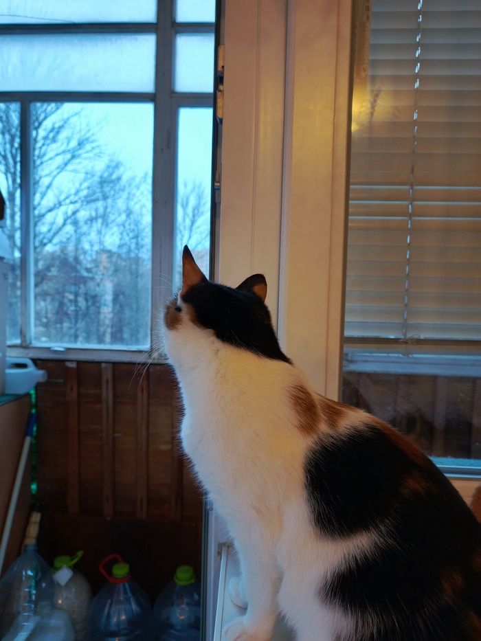      , , , , ,  ,  , 