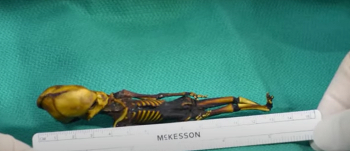 Ещё одна тайна пришельца разгадана! Алёша был не единственный Наука, Научпоп, НЛО, Пришельцы, Ученые, Длиннопост