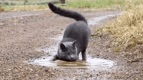     , , , ,  ,  ,  ,  , , ,   