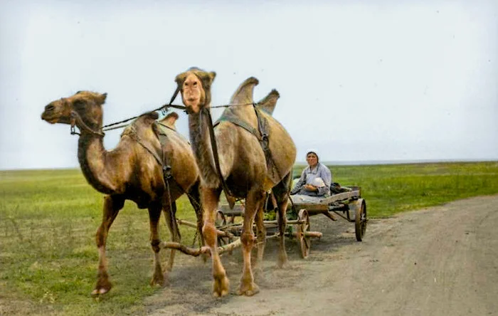 Подборка простых и потрясающих фотографий эпохи СССР. 20 раскрашенных фотографий, Часть XX Старое фото, 20 век, СССР, Сделано в СССР, Детство в СССР, Фотография, 60-е, 70-е, 80-е, 50-е, 40-е, Колоризация, Длиннопост