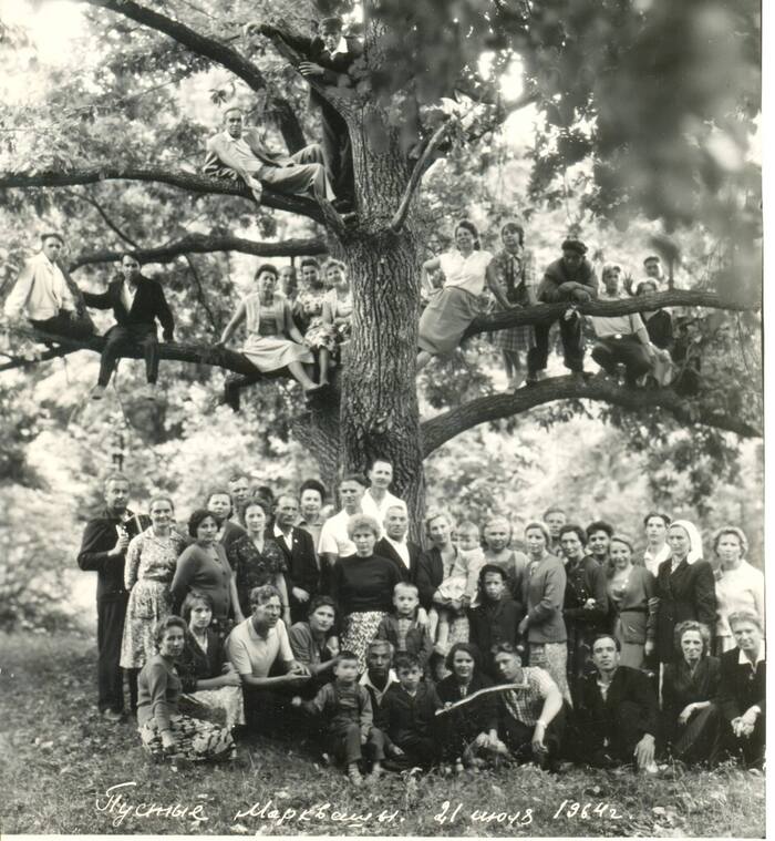    , 21  1964 .          .