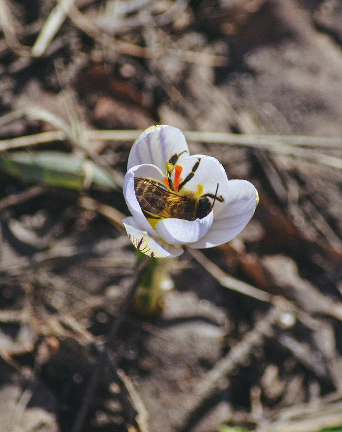   , , Nikon d3100, , , , , 