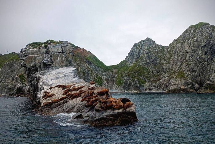      , . <a href="https://pikabu.ru/story/kholostyakovyie_lezhbishcha_sivuchey_12499780?u=https%3A%2F%2Ft.me%2Fterritoryofscience%2F203&t=%D0%A4%D0%BE%D1%82%D0%BE%20%D0%95.%20%D0%95%D1%81%D0%B8%D0%BD%D0%B0%2C%20%D0%A1.%20%D0%94%D1%83%D0%B4%D0%BE%D0%B2%D0%B0&h=fe7a8f2fe7aee6befc12163a9da478c527207cc9" title="https://t.me/territoryofscience/203" target="_blank" rel="nofollow noopener"> . , . </a>