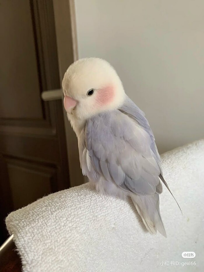   , , , 