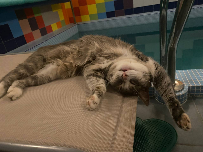 Жизь удалась...