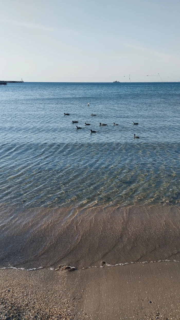 Anapa, March, +20 - My, Beach, Anapa, Spring, No filters, Sea, Black Sea, Longpost