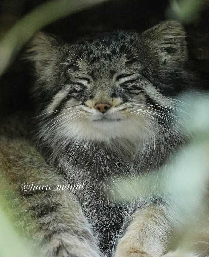 Понедельник – день нелёгкий