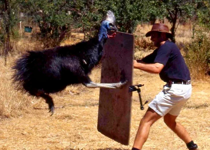     .   ,       ,      .   , ,     .