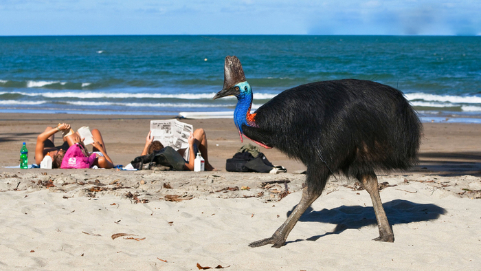  ,        .     !      , ,     .