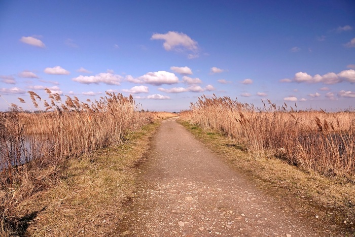 Дорога в небо