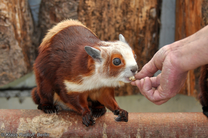 Твоё лицо, когда твои друзья едят вкусняшки, а ты первый день перешёл на правильное питание.