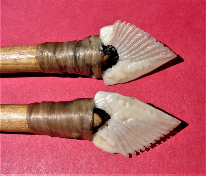 Я всегда знал, что рыбные кости — это оружие!