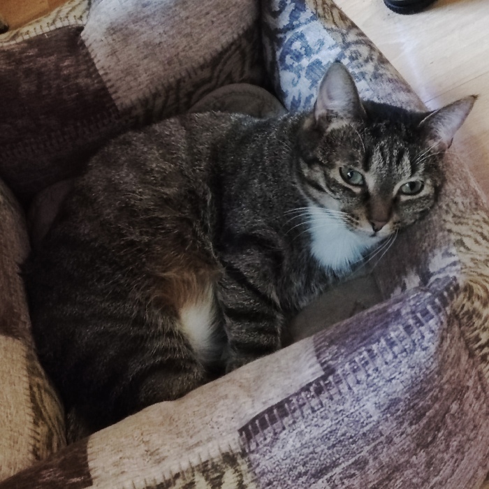 Чё смотришь?