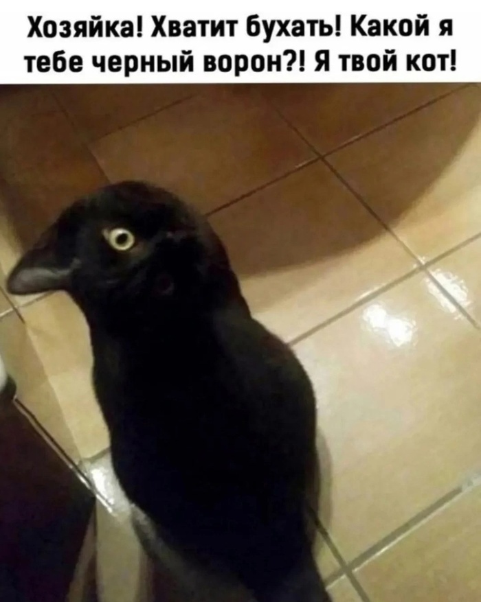 ׸ ..    , ,  , 