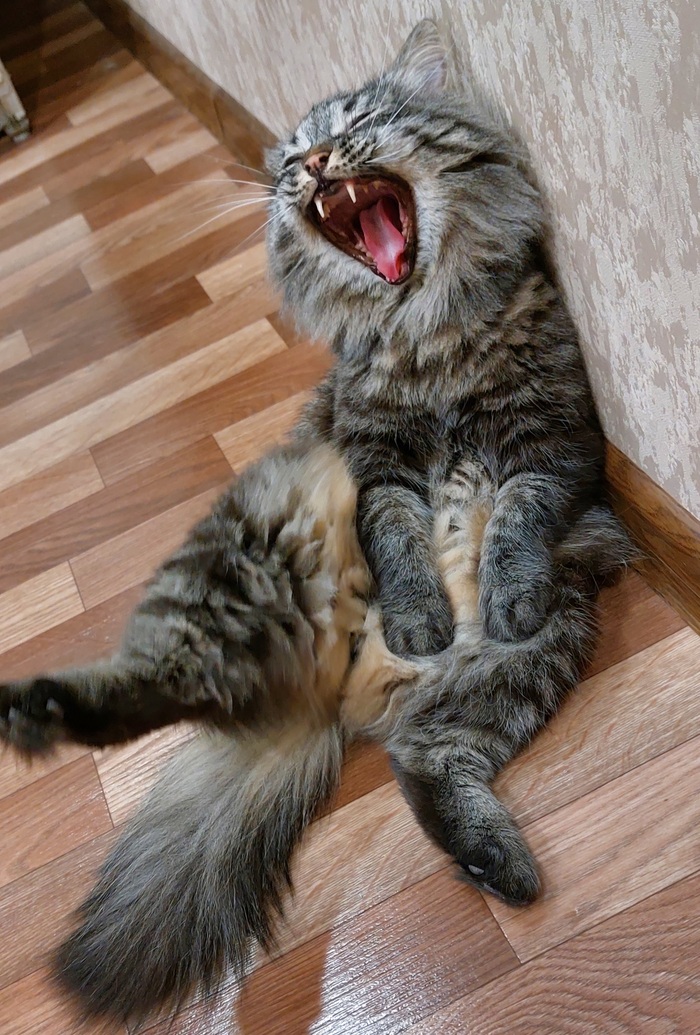 � �� ����� �� ��� �����...