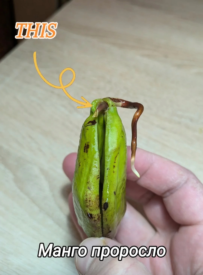 !  - , , ,   