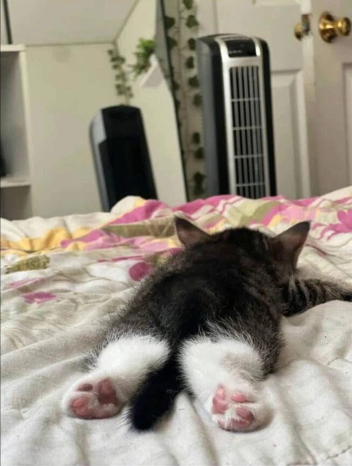  , , 