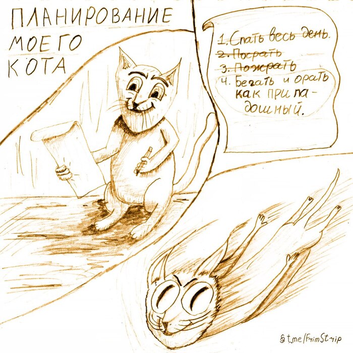 Дикая лесная кошечка