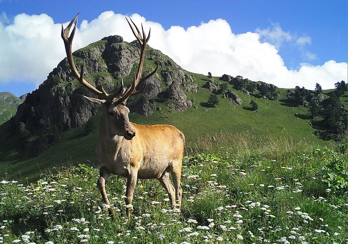 Господа охранники, пропустите, пожалуйста, фотографа. Пусть заснимет, как я крут!