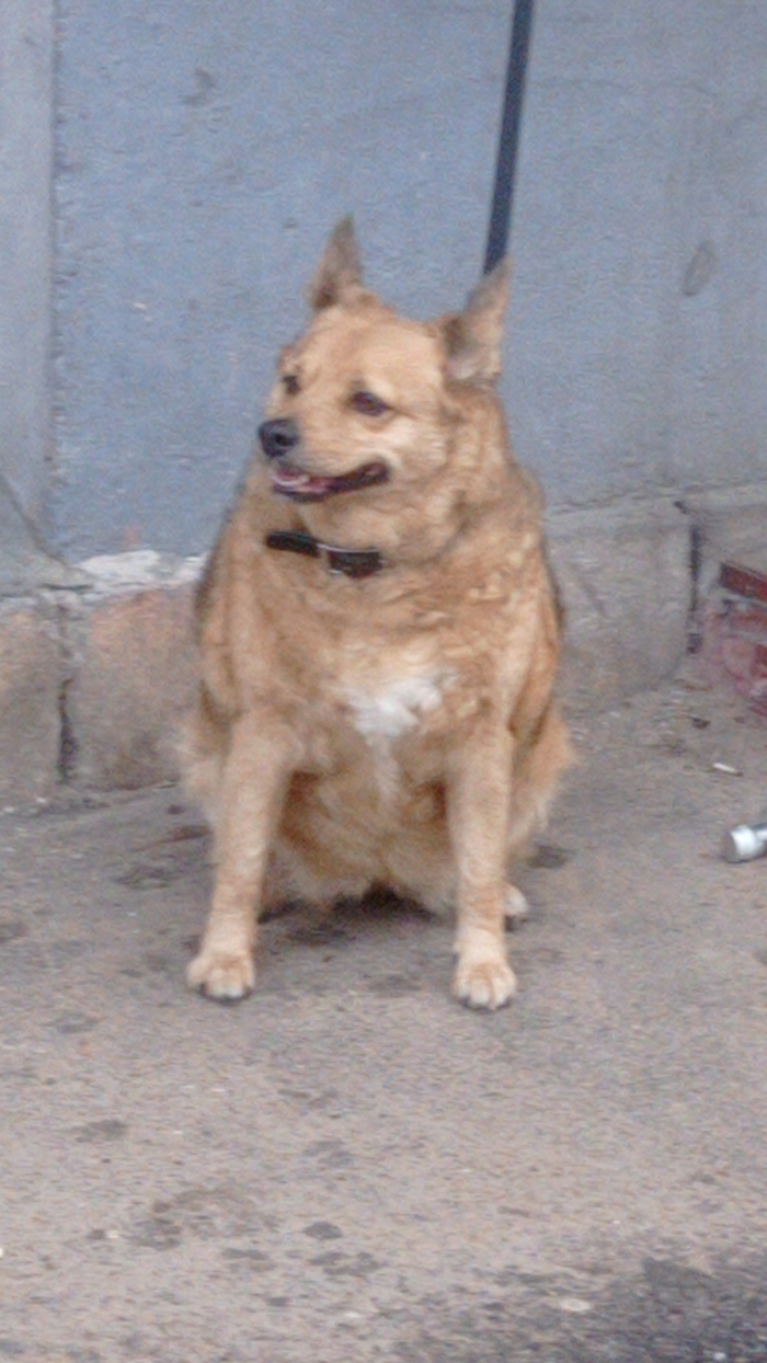    ,   , , , 