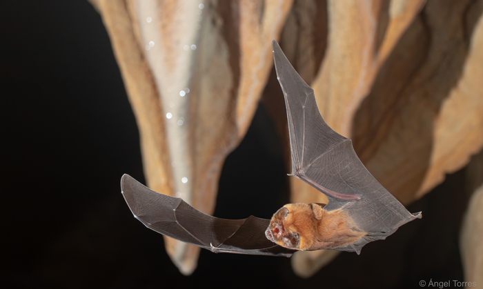 Вот так головой верти, и шея болеть не будет!