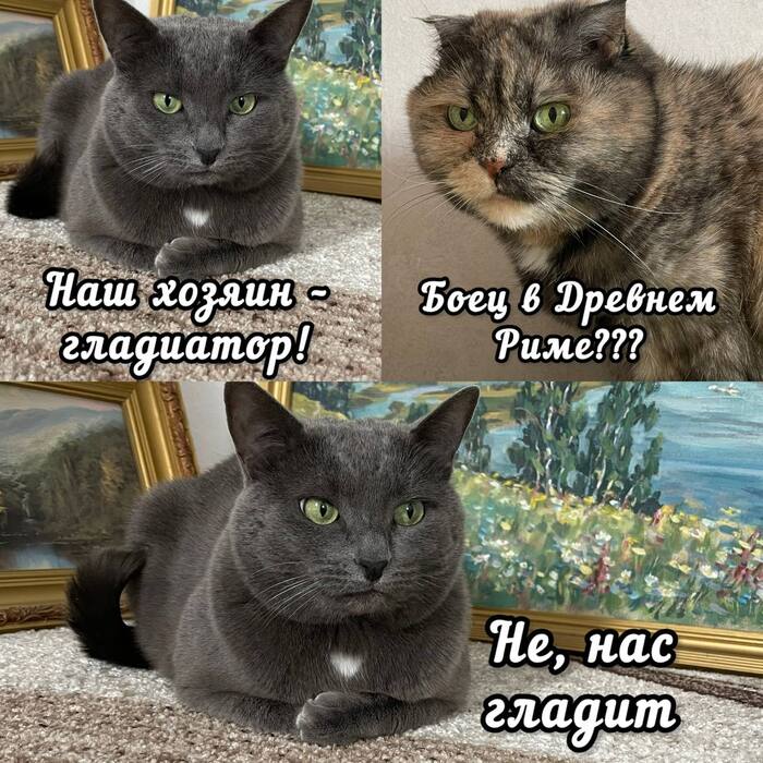     ,   , 